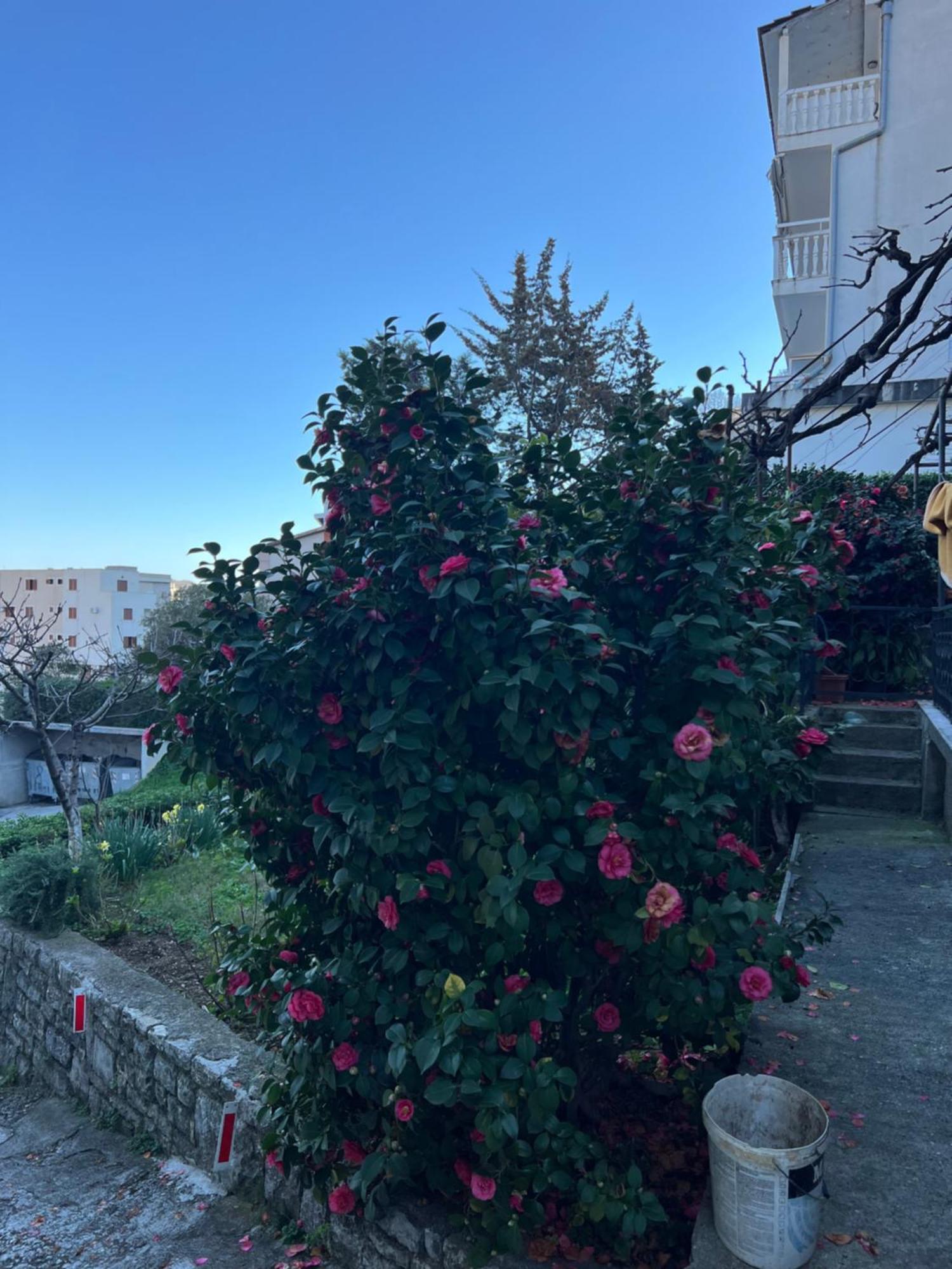 Guest House Plima 2 Budva Exterior foto